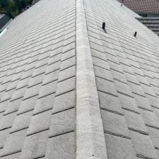 Roof Wash Boca Raton 5