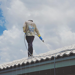 Roof Washing